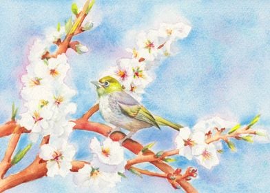 Bird and Almond flowers