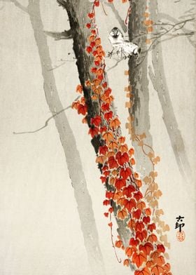 Red ivy 1900 by Koson