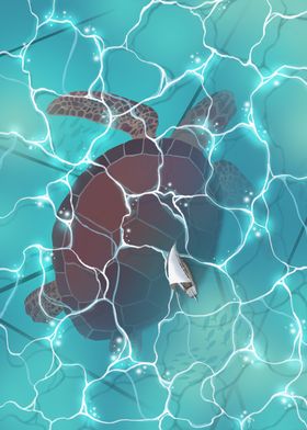 Sea turtle infinite series