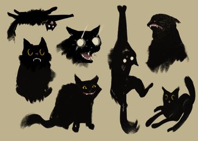 Black Cats