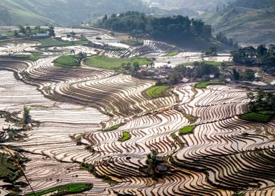 Landscape of rice terraces