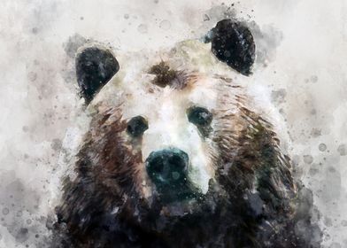 Watercolor grizzly bear