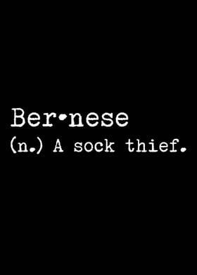 Bernese Dog A Sock Thief