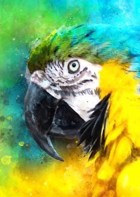 Watercolor macaw parrot