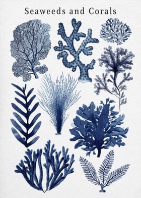 Seaweed And Corals in Blue