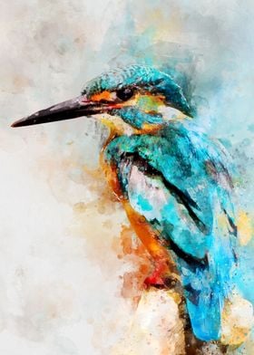 Watercolor kingfisher bird