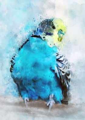 Watercolor budgie parrot