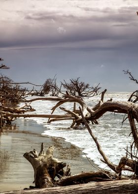 Edisto Beach Carolina