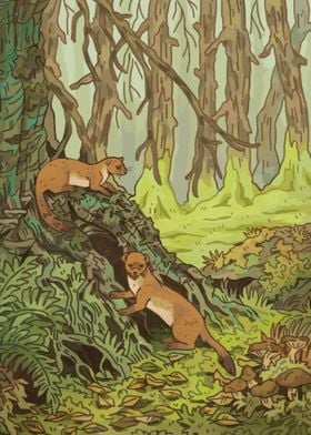 Two weasels in the woods
