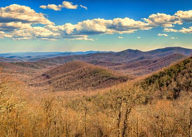 Blue Ridge Parkway View