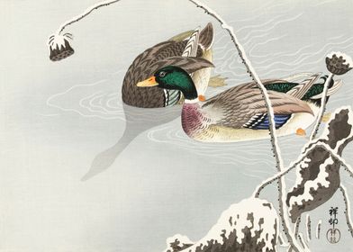 Two Mallards Ohara Koson