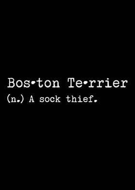 Boston Terrier Sock Thief