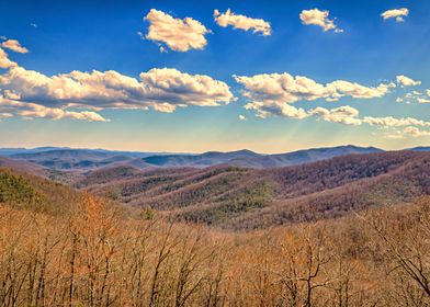 Blue Ridge Parkway View