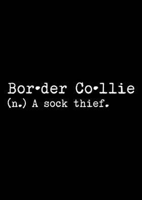 Border Collie Sock Thief