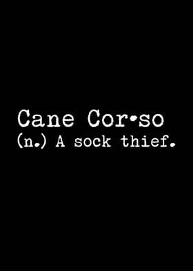 Cane Corso A Sock Thief