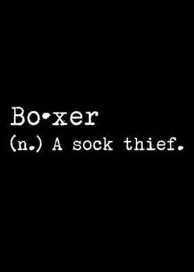 Boxer Dog A Sock Thief 