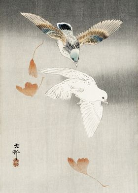 Two pigeons with leaves