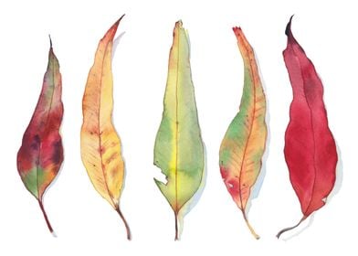 Autumn leaves watercolor