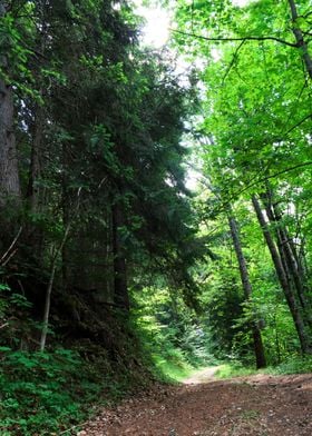 Chemin de Bon Mollard