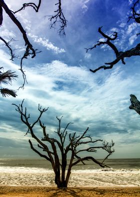 Edisto Beach Carolina