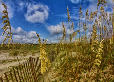 Tybee Island Georgia