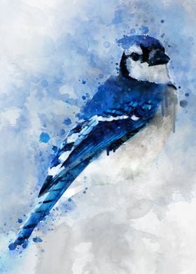 Watercolor blue jay bird
