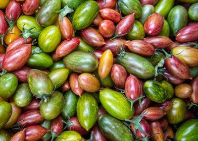 colorful tomatoes