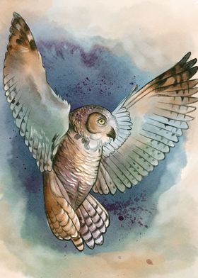 Flying Owl