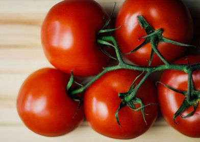 red tomatoes