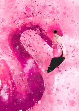 Watercolor flamingo pink