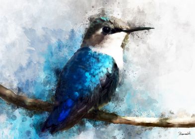 Watercolor humming bird