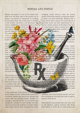 Anatomy Flowers Text-preview-1