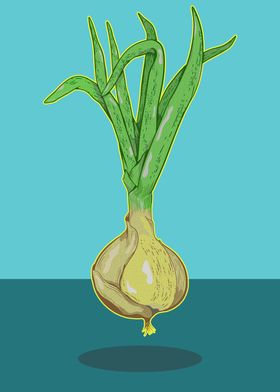 Onion