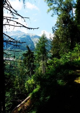 Sentier vers Le Mont 2