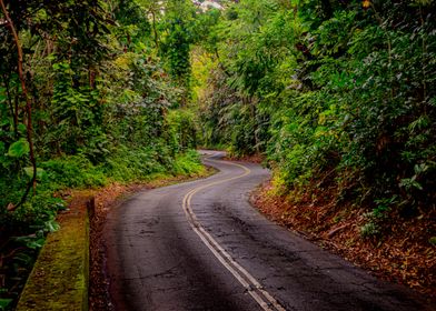 Curvy Road