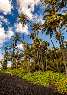 Black Sand Beach