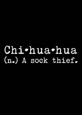 Chihuahua A Sock Thief 