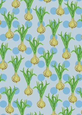 Onions Pattern