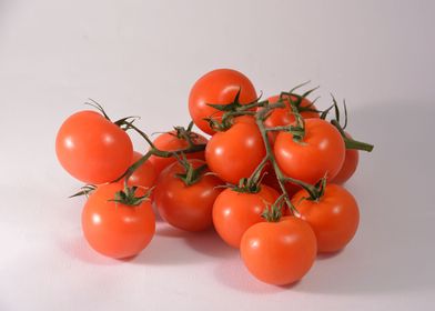 tomato vegetation