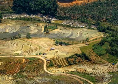 Beautiful view of terraces