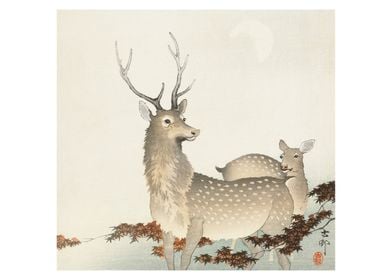 Japanese art Deers