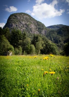 Mountain and grass Norway