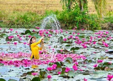 Playing with water lily