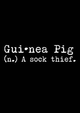 Guinea Pig A Sock Thief 