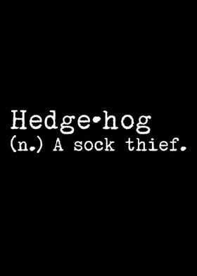 Hedgehog A Sock Thief 