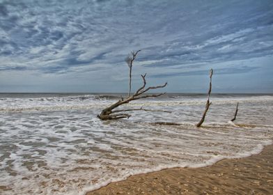 Edisto Beach Carolina