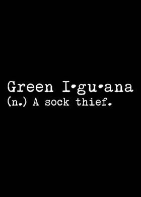 Iguana A Sock Thief 