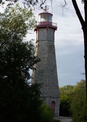 Lighthouse in a forest 