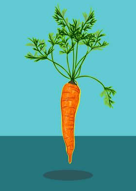 Carrot Levitating