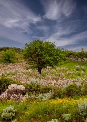 Landscape in Sardinia